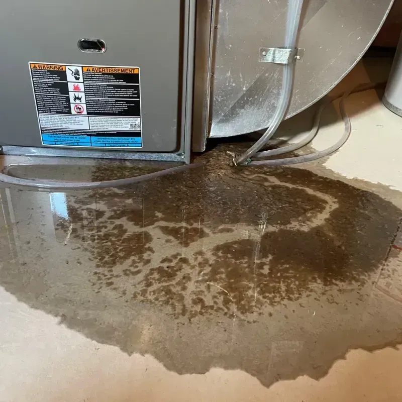 Appliance Leak Cleanup in Kalkaska County, MI